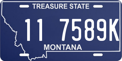 MT license plate 117589K