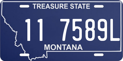 MT license plate 117589L