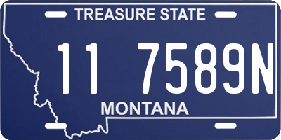 MT license plate 117589N