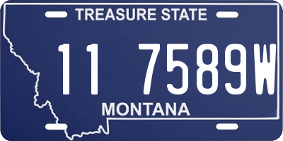 MT license plate 117589W