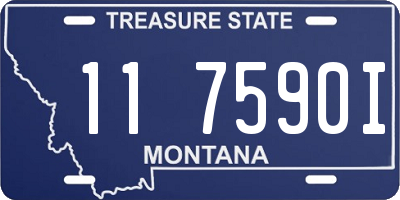 MT license plate 117590I