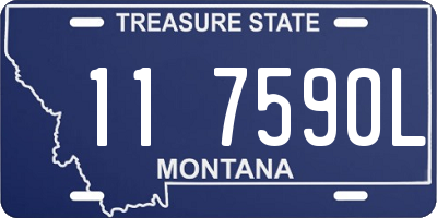 MT license plate 117590L