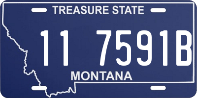 MT license plate 117591B