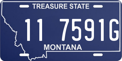 MT license plate 117591G