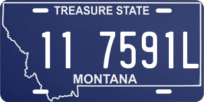 MT license plate 117591L