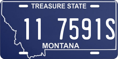 MT license plate 117591S