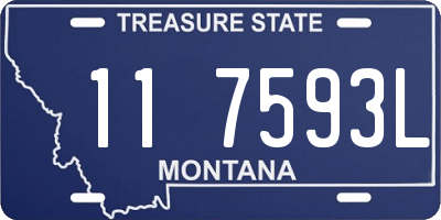 MT license plate 117593L