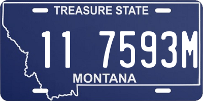 MT license plate 117593M