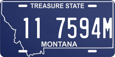 MT license plate 117594M