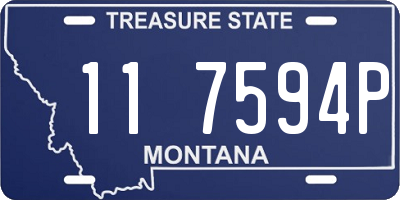 MT license plate 117594P