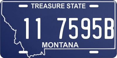 MT license plate 117595B