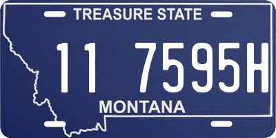 MT license plate 117595H