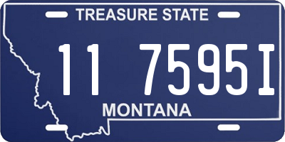 MT license plate 117595I