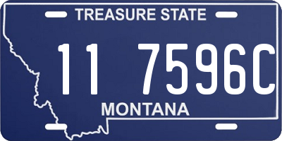 MT license plate 117596C