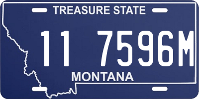 MT license plate 117596M