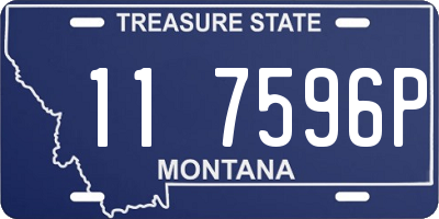 MT license plate 117596P