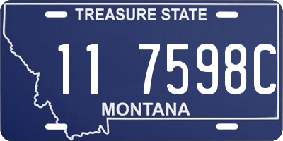 MT license plate 117598C