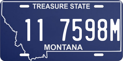 MT license plate 117598M