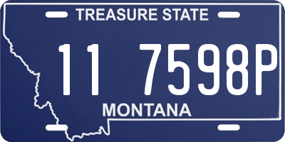 MT license plate 117598P