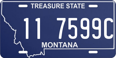 MT license plate 117599C