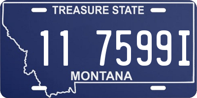 MT license plate 117599I