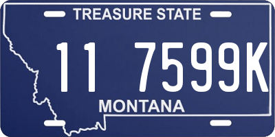 MT license plate 117599K