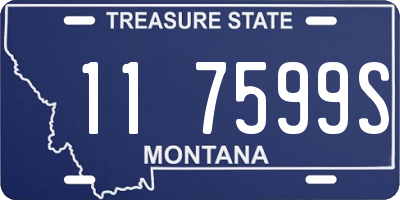 MT license plate 117599S