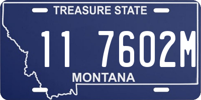 MT license plate 117602M