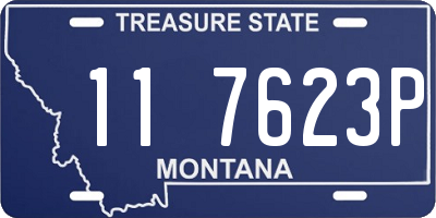 MT license plate 117623P