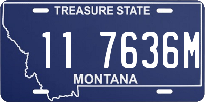 MT license plate 117636M