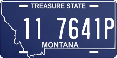 MT license plate 117641P