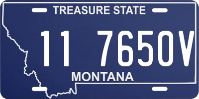 MT license plate 117650V