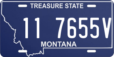 MT license plate 117655V