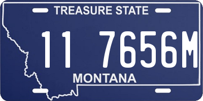 MT license plate 117656M