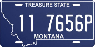 MT license plate 117656P