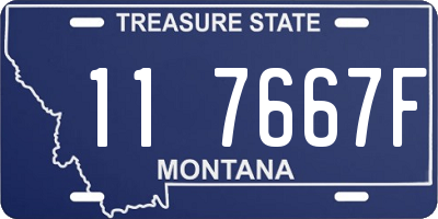MT license plate 117667F