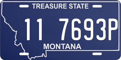 MT license plate 117693P