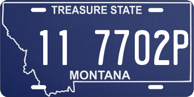 MT license plate 117702P