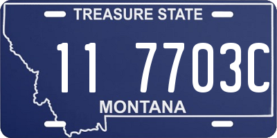 MT license plate 117703C