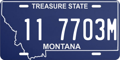 MT license plate 117703M
