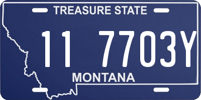 MT license plate 117703Y
