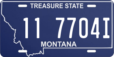 MT license plate 117704I