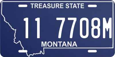 MT license plate 117708M