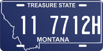 MT license plate 117712H