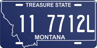 MT license plate 117712L