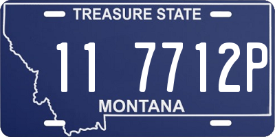 MT license plate 117712P