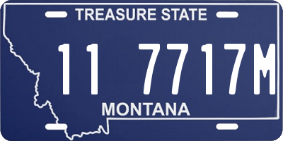 MT license plate 117717M