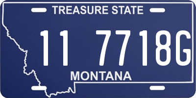 MT license plate 117718G