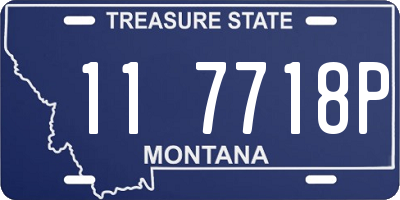 MT license plate 117718P