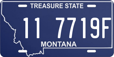 MT license plate 117719F